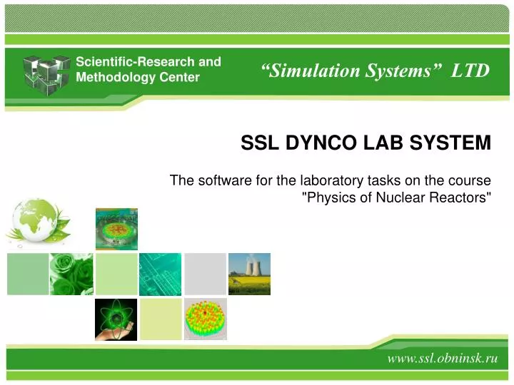 simulation systems ltd n.