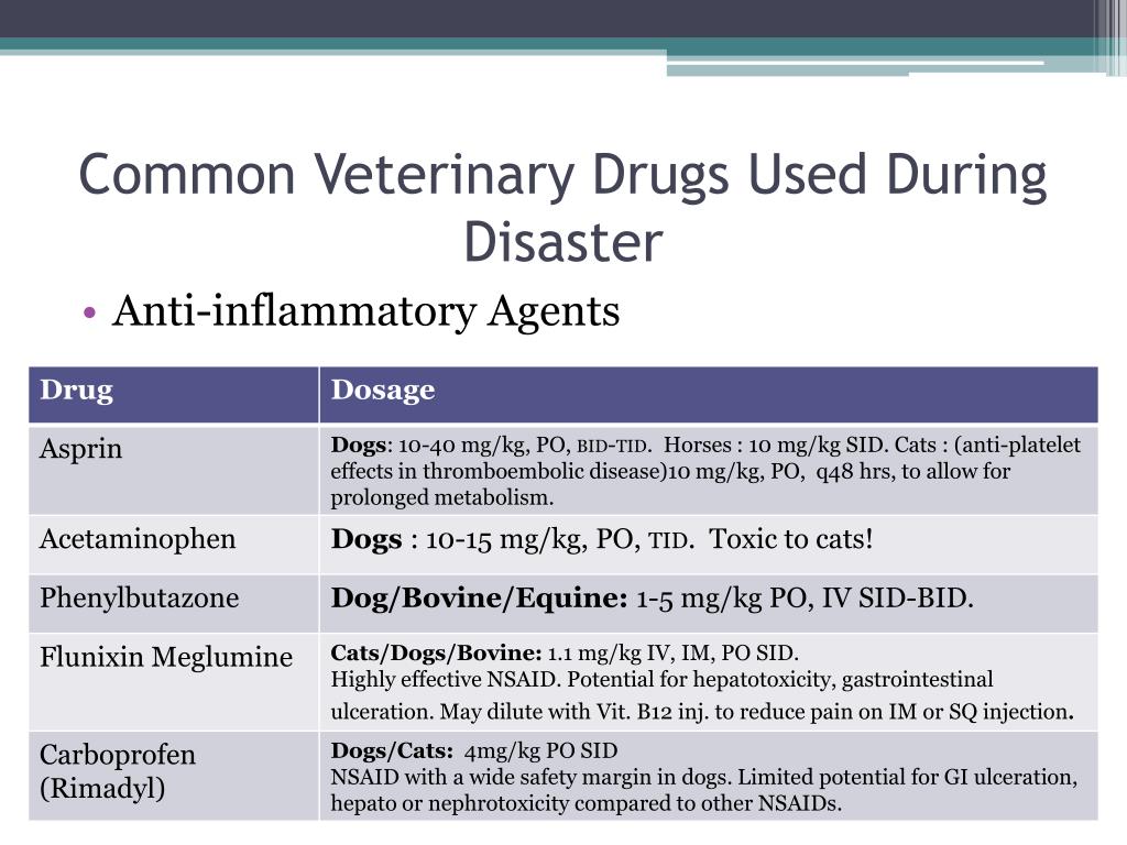 PPT - Veterinary Pharmacy During Disaster PowerPoint Presentation, free ...