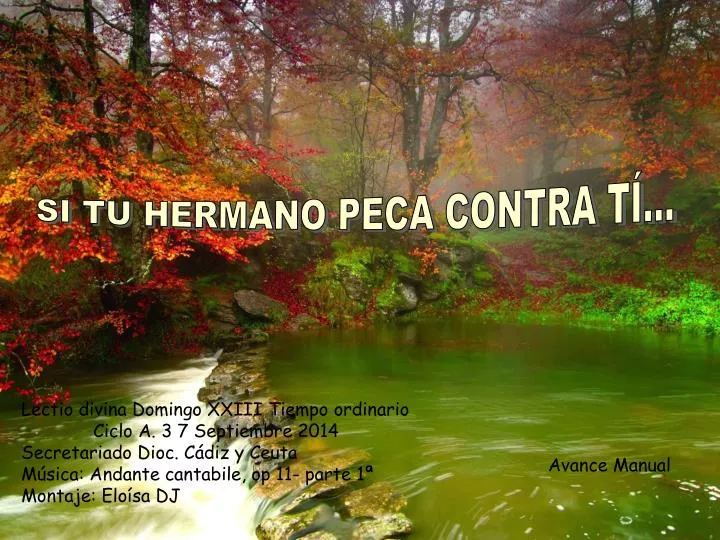 Si Tu Hermano Peca Contra Ti
