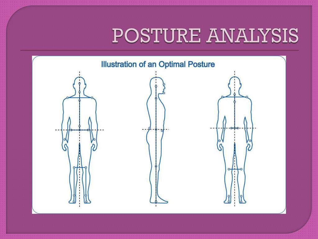 Human Body Alignment System PowerPoint Presentation, free ... Biology Diagrams