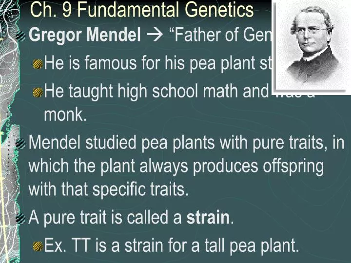 ch 9 fundamental genetics n.