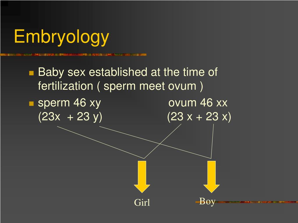 Ppt Normal And Abnormal Development Of Female Genital Tract Powerpoint Presentation Id4834023