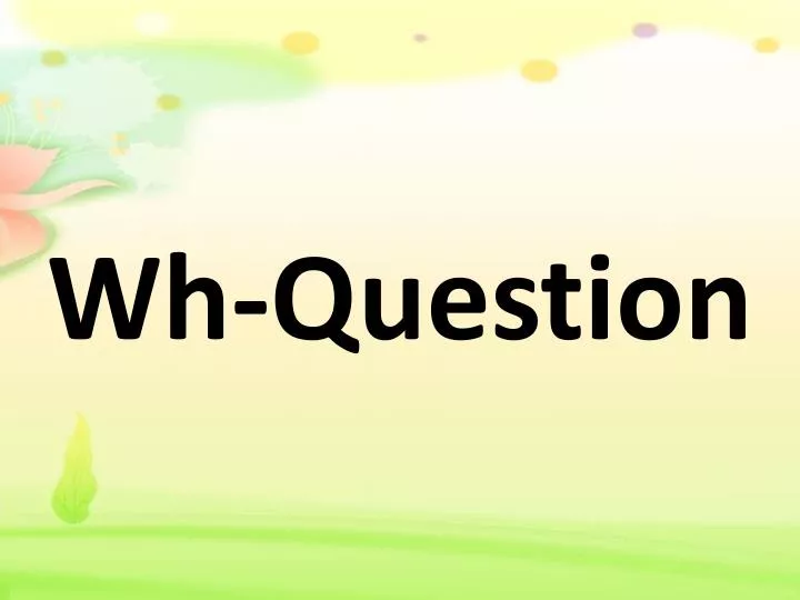 wh question n.