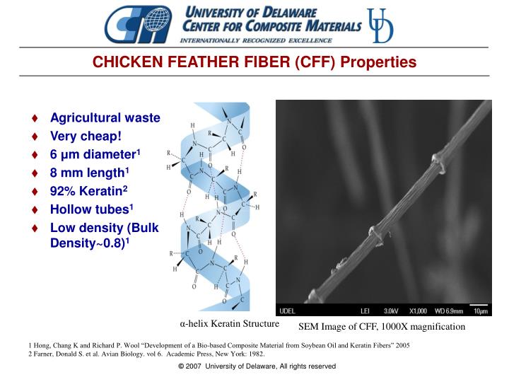 PPT HYDROGEN STORAGE ON CARBONIZED CHICKEN FEATHER FIBERS PowerPoint