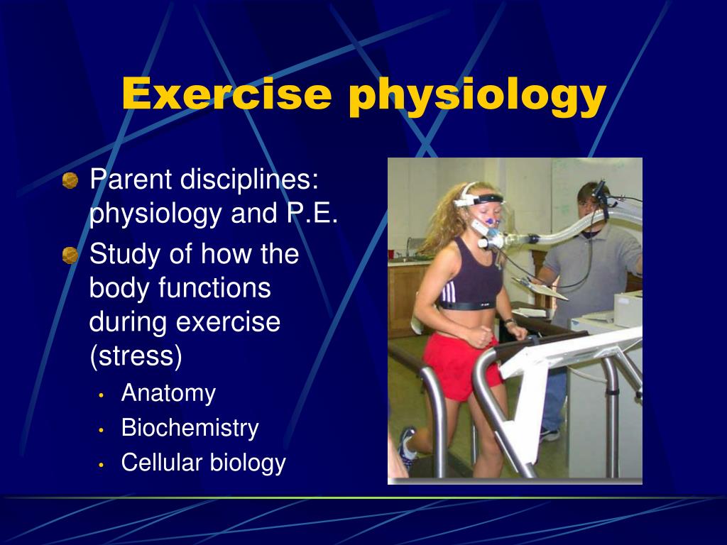 PPT - College of Arts and Sciences Department of Kinesiology csusm ...