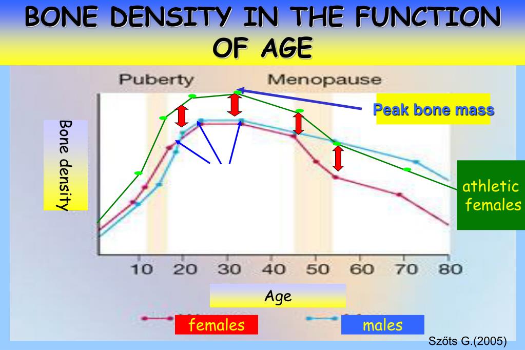 Bone Density Z Score Chart By Age bone-density-z-score-chart-by-age