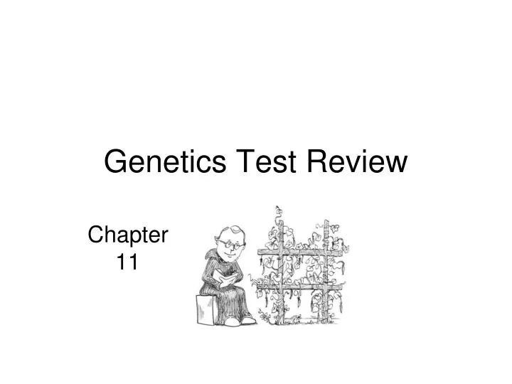 genetics test review n.