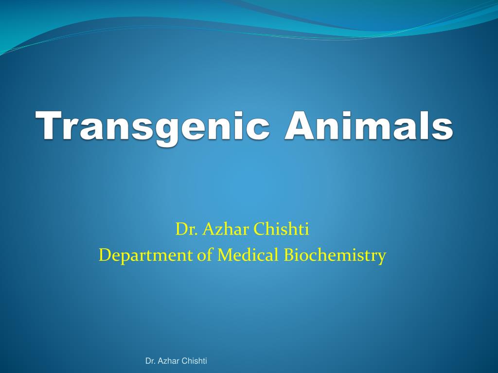 PPT - Transgenic Animals PowerPoint Presentation, free download - ID:4839448