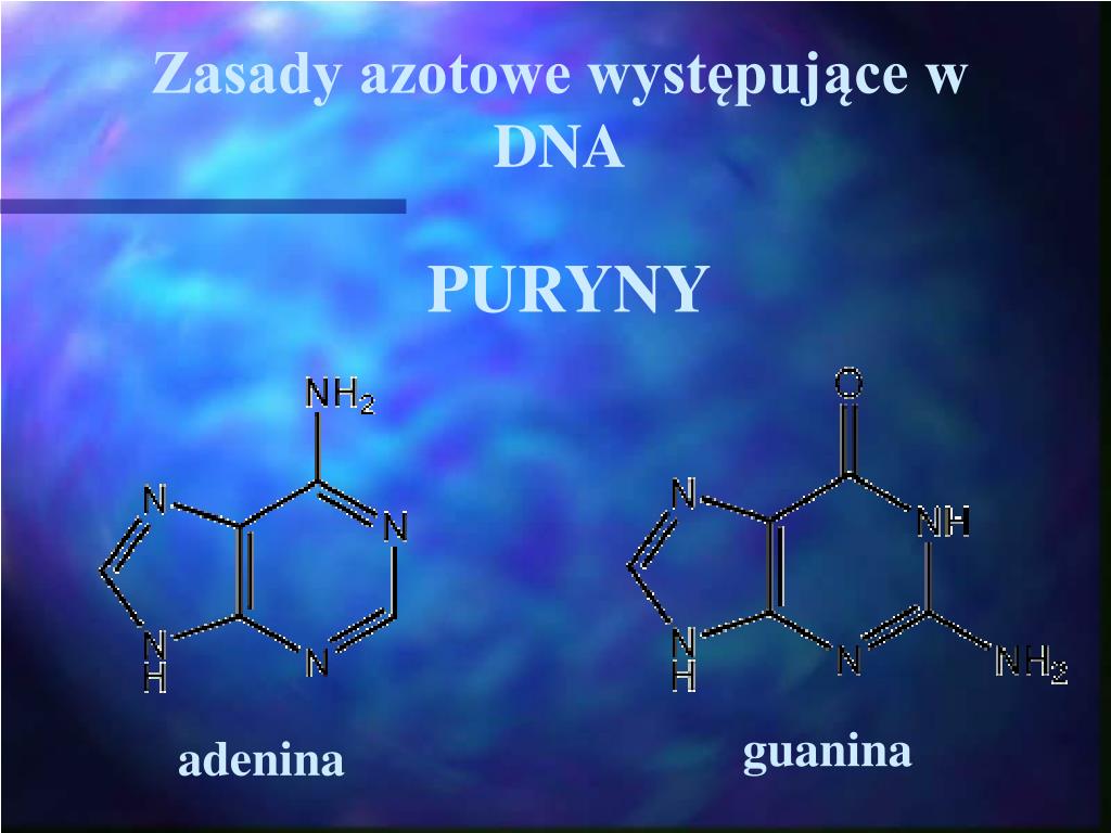 Zasady Azotowe Dwóch Nici Dna Zawsze Tworzą ściśle Określone Pary PPT - DNA- materiał genetyczny komórek. Replikacja DNA. PowerPoint
