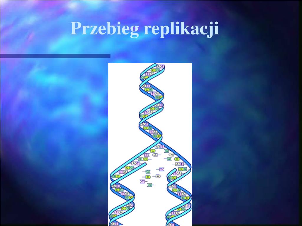 Uzasadnij Konieczność Replikacji Dna Przed Podziałem Komórki PPT - DNA- materiał genetyczny komórek. Replikacja DNA. PowerPoint