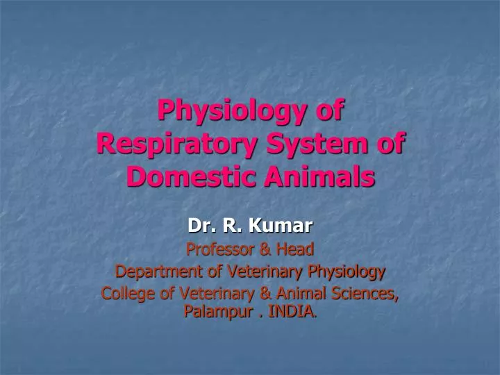respiratory system powerpoint