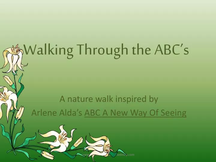walking through the abc s n.