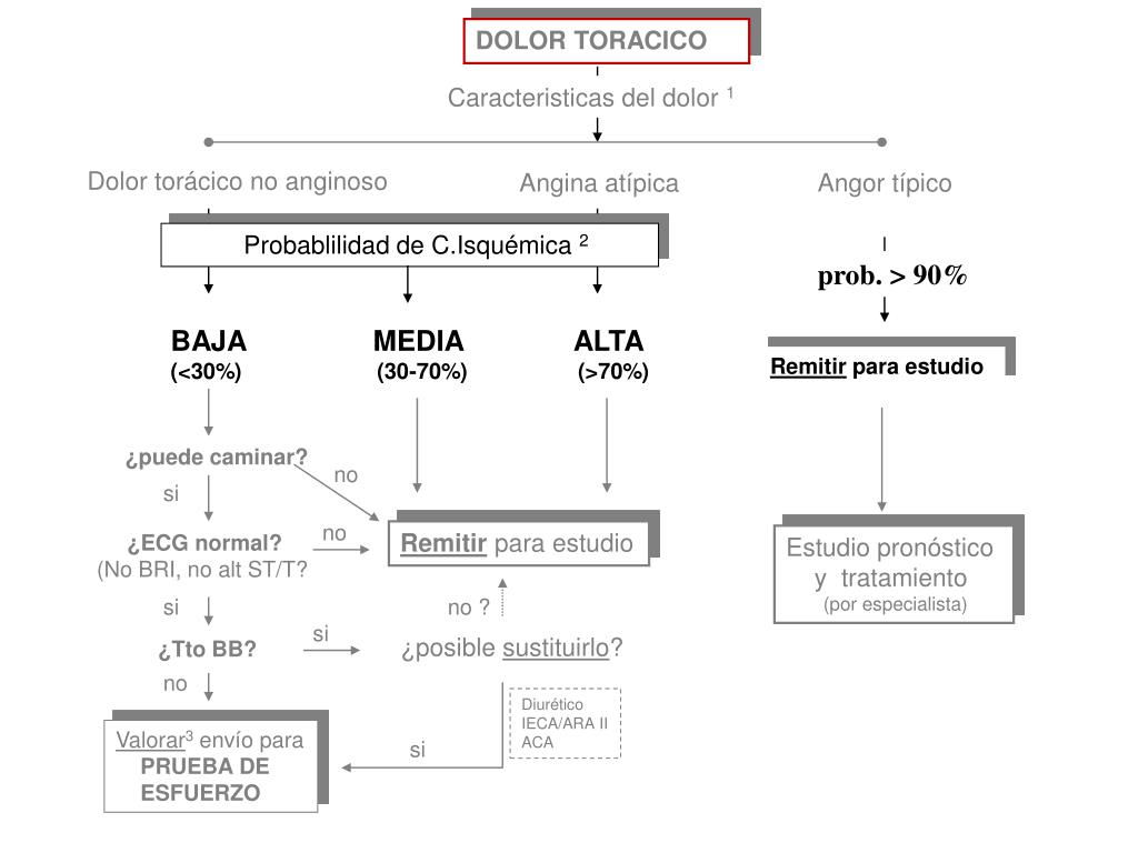 PPT Manejo Del Dolor Tor cico En Consultas De Atenci n Primaria 