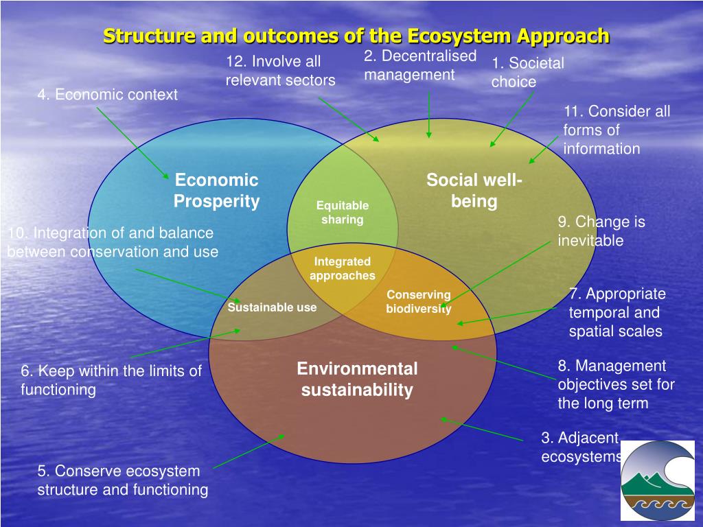 ecosystem approach to environmental problem solving