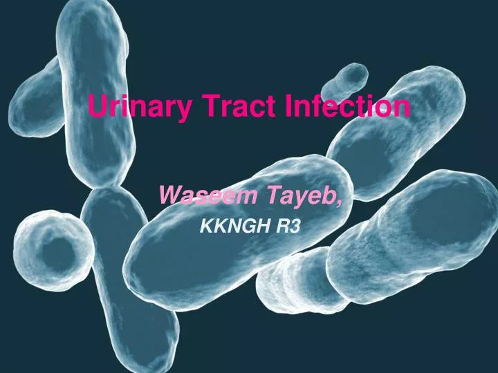 urinary tract infection n.