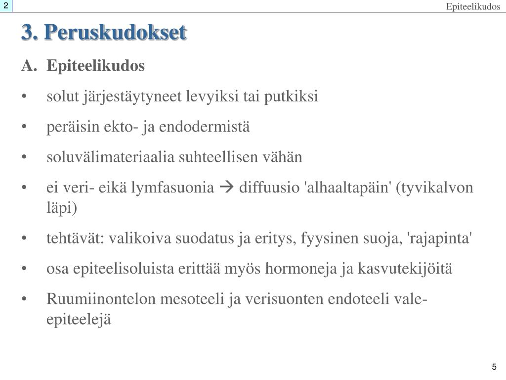 PPT Solujen V liaine Jatkoa Tyvikalvo Lamina Basalis Kaikkien PPT Solujen V liaine Jatkoa Tyvikalvo Lamina Basalis Kaikkien