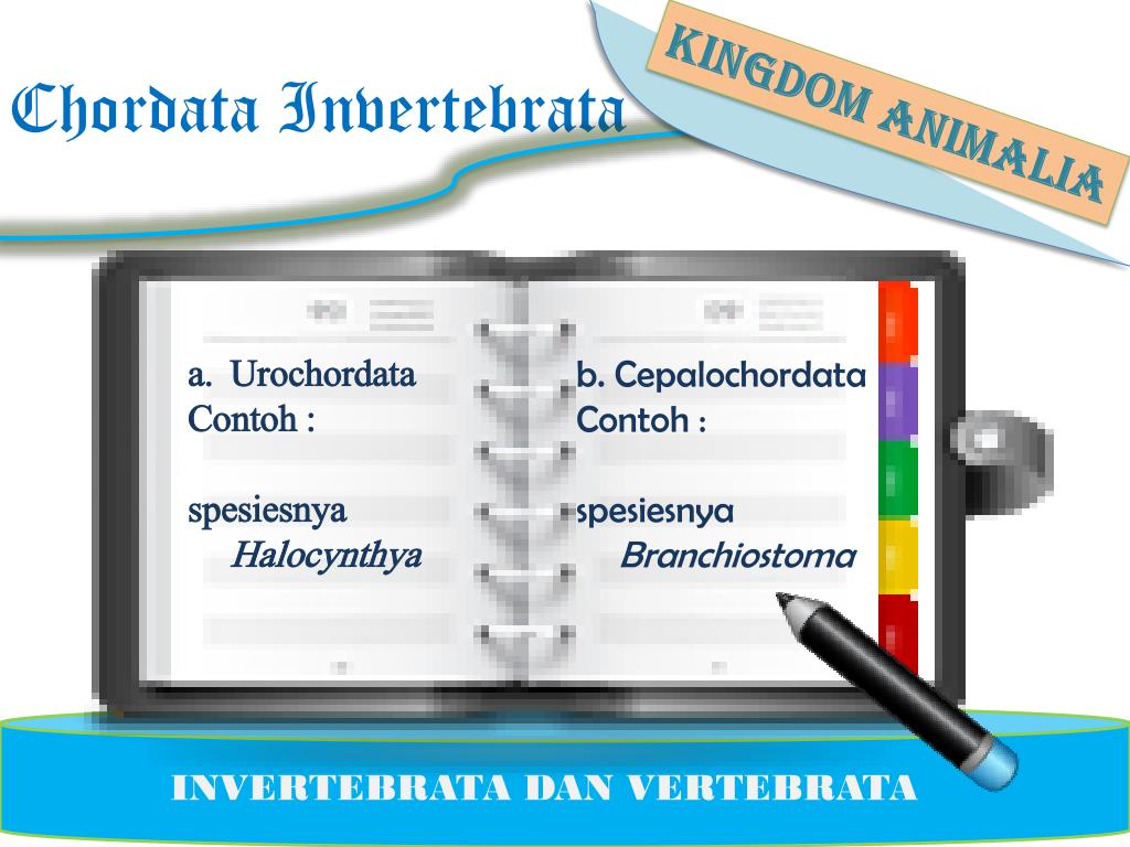 PPT KINGDOM ANIMALIA PowerPoint Presentation free 