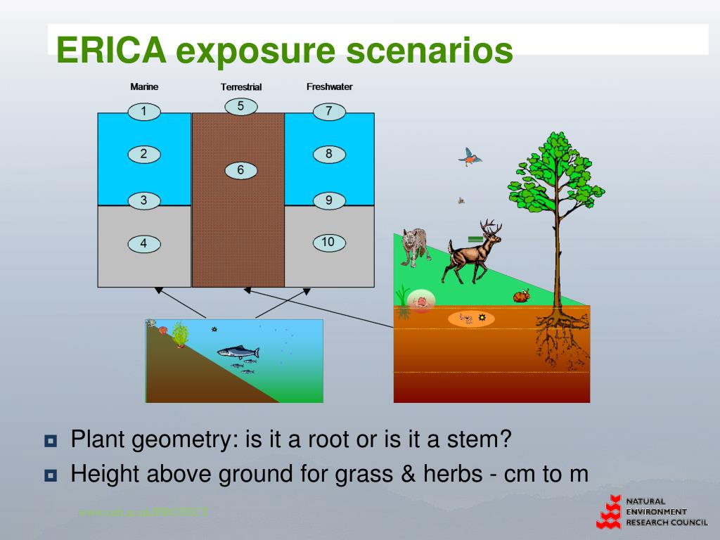 Erica Approach PPT - Jordi Vives i Batlle Centre for Ecology and Hydrology, Lancaster ...