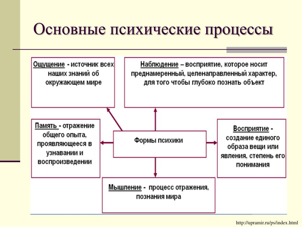 Сколько людей в процессе. Основные понятия психических процессов. Психологические процессы определение. Основные формы изменения психических процессов.. Первичные психические процессы.