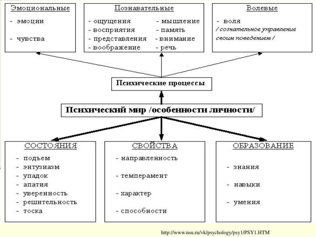 Психические состояния курсовая работа. Классификация и характеристика познавательных процессов личности. Классификация эмоционально-волевых процессов. Психические процессы схема. Познавательные процессы волевые процессы эмоциональные процессы это.