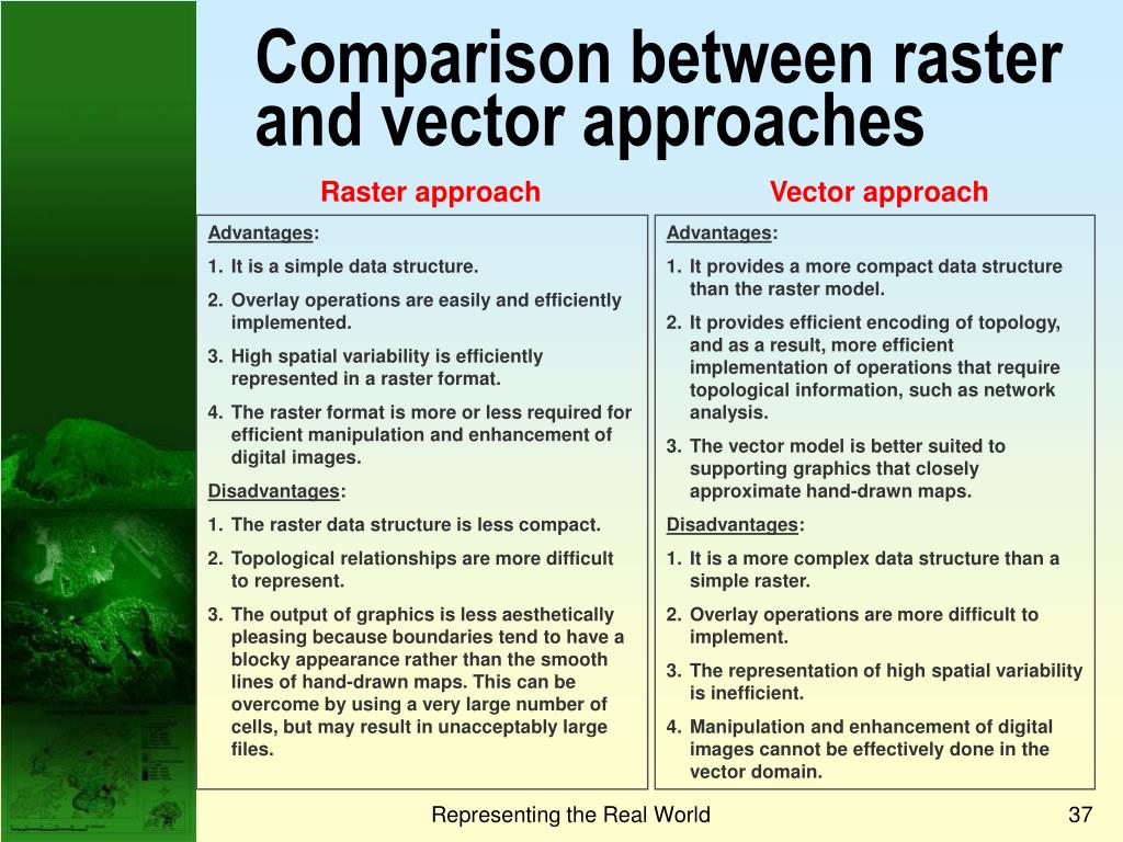 Difference between raster image and vector image - somenery