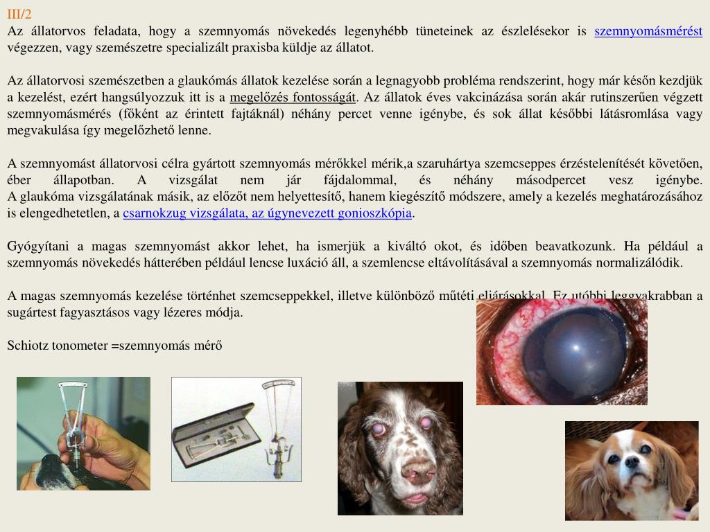 lehetséges-e a rövidlátás egy szemben hogyan lehet helyesen helyreállítani a látást