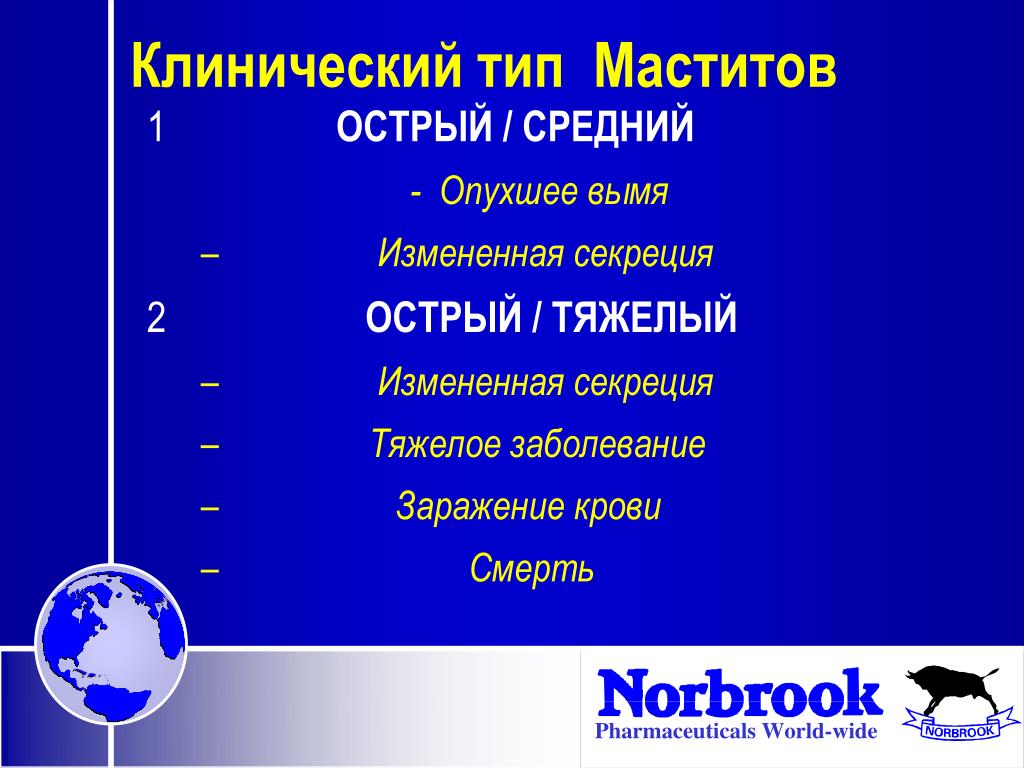 PPT - Антимаститная Программа PowerPoint Presentation - ID:4849586