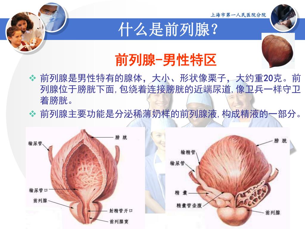 漫画科普第一课：上海五院泌尿外科医生与你说说前列腺那些事|上海五院|前列腺癌|直肠指检|恶性肿瘤|前列腺|漫画|泌尿|-健康界