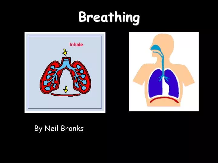 ppt-breathing-powerpoint-presentation-free-download-id-4850369