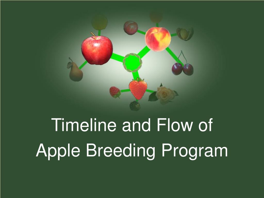 apple powerpoint program apple powerpoint program