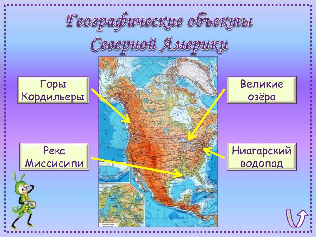 На западе расположены высочайшие горы северной америки. Горы Кордильеры на карте Северной Америки. Рельеф Кордильер на карте Северной Америки. Где на карте расположены горы Кордильеры. Горы Кордильеры на физической карте Северной Америки.