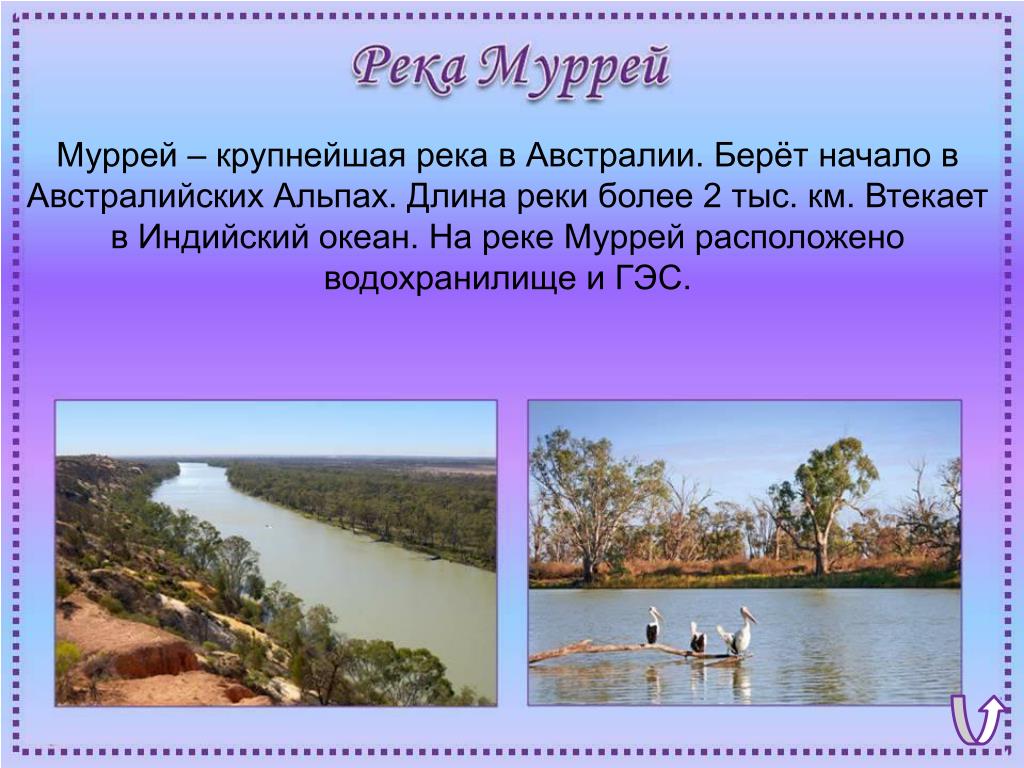 Реки озера австралии 7. Река Муррей в Австралии. Длина реки Муррей в Австралии. Реки Дарлинг и Муррей. Река Муррей Австралии 7 класс.