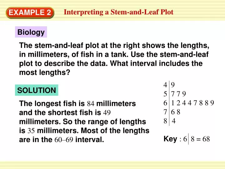 slide1 n.