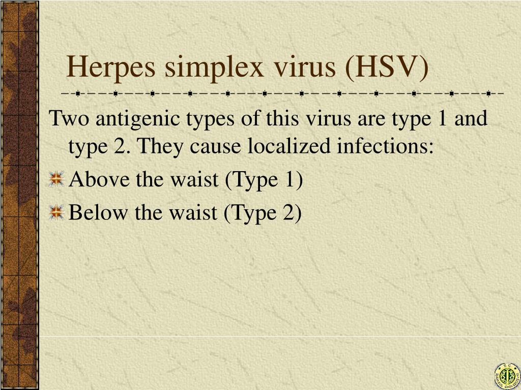 Herpes simplex 2 igg. Herpes Simplex Type. Герпес симплекс вирус 1/2.