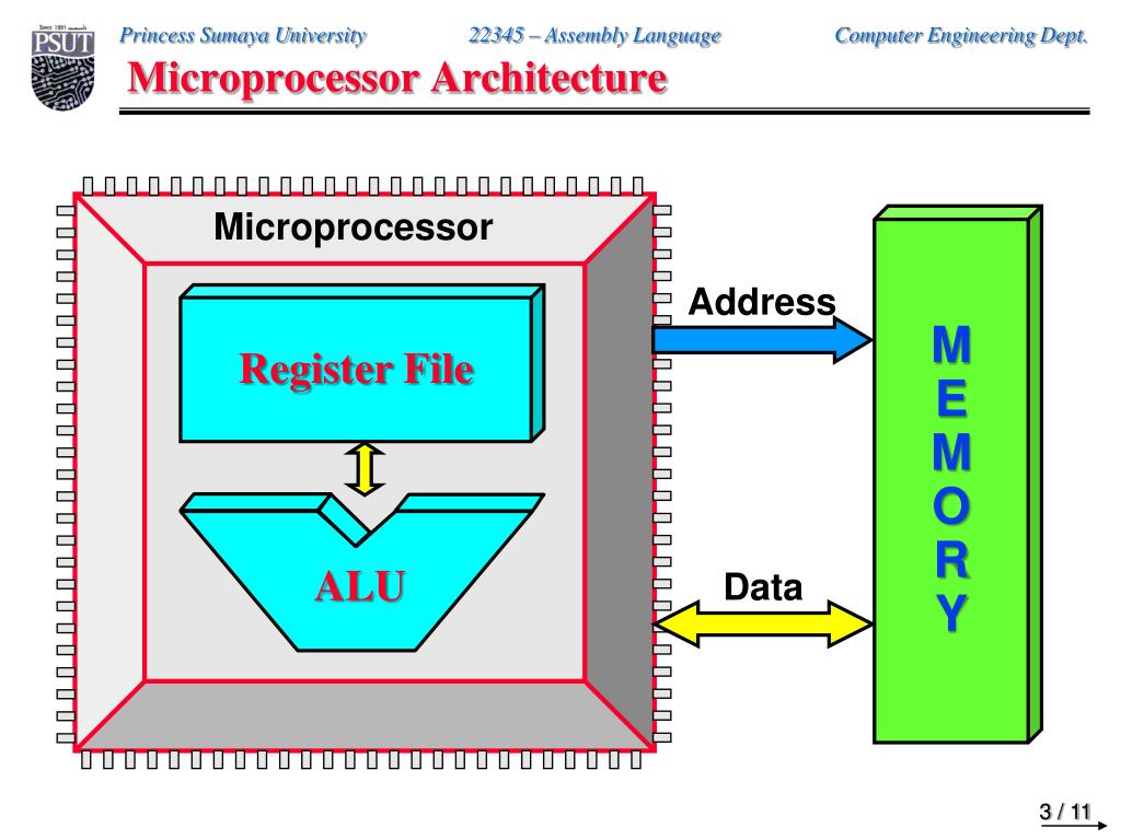 PPT - د. بســام كحـالــه Dr. Bassam Kahhaleh PowerPoint Presentation ...