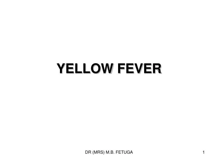 yellow fever n.