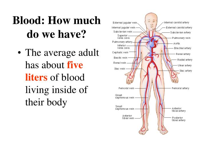 PPT Blood Typing PowerPoint Presentation ID4857963