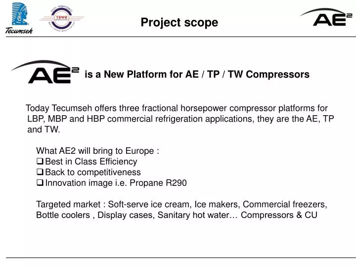 project scope n.