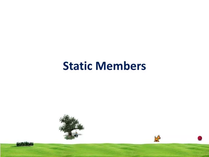 static members n.