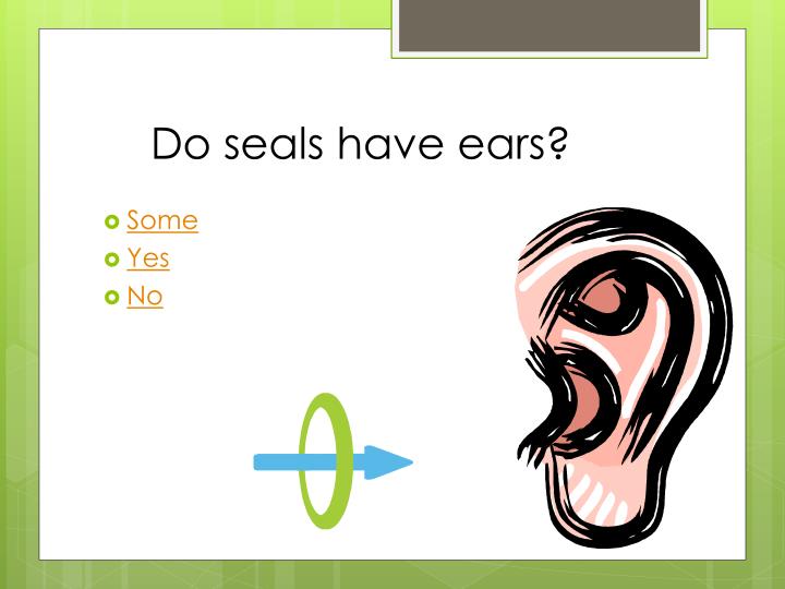 PPT Seals PowerPoint Presentation ID4865818