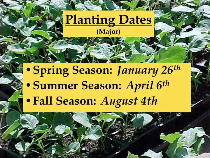PPT - Planting Dates (Major) PowerPoint Presentation, free download