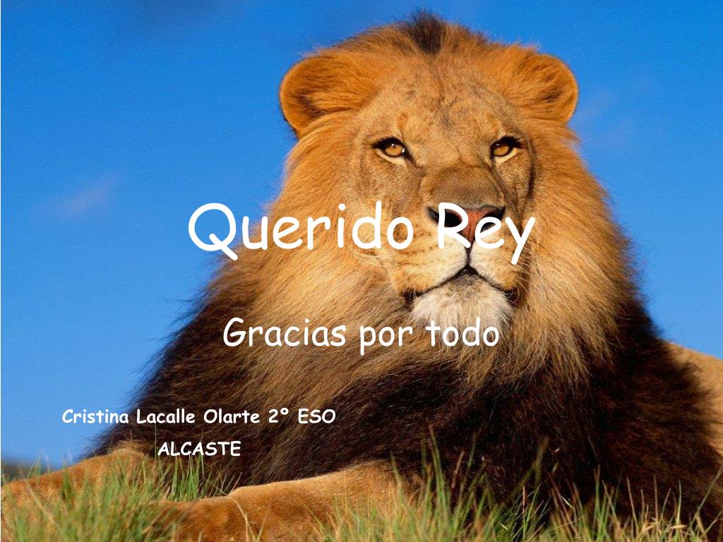 PPT - Querido Rey PowerPoint Presentation, free download - ID:4866767