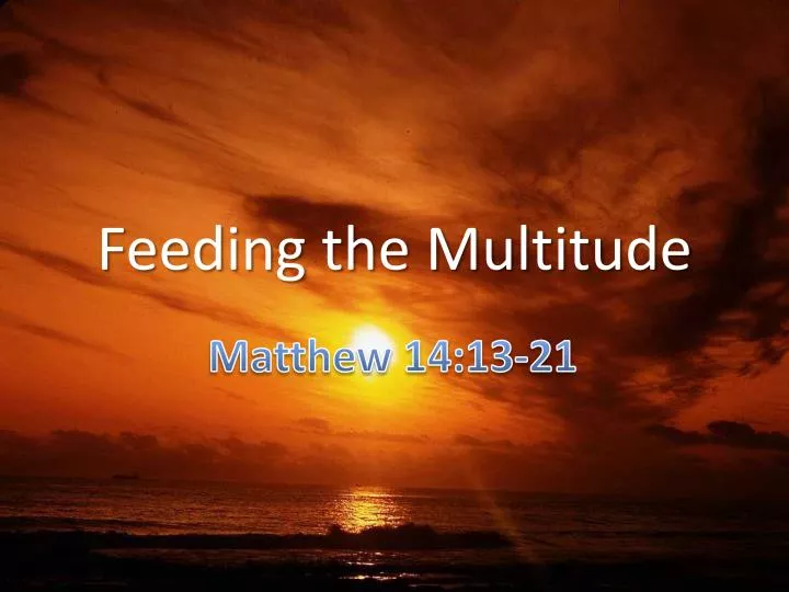 feeding the multitude n.
