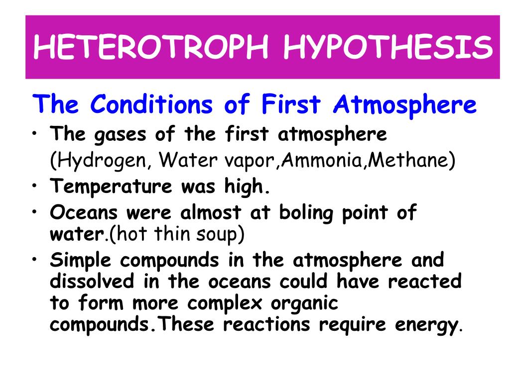 heterotroph hypothesis steps