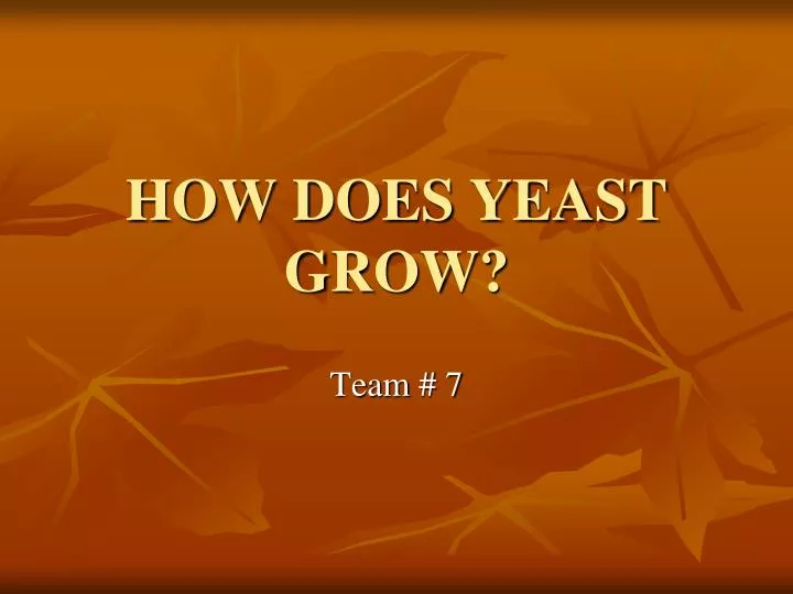 PPT HOW DOES YEAST GROW? PowerPoint Presentation, free download ID