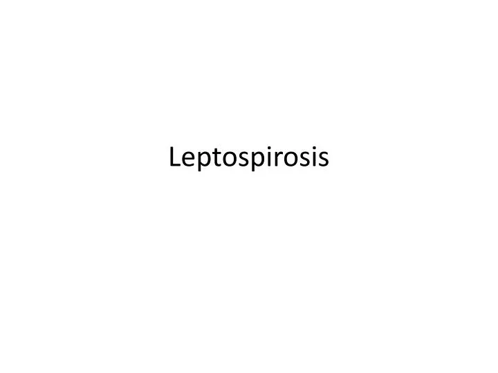 PPT Leptospirosis PowerPoint Presentation Free Download ID 4871565