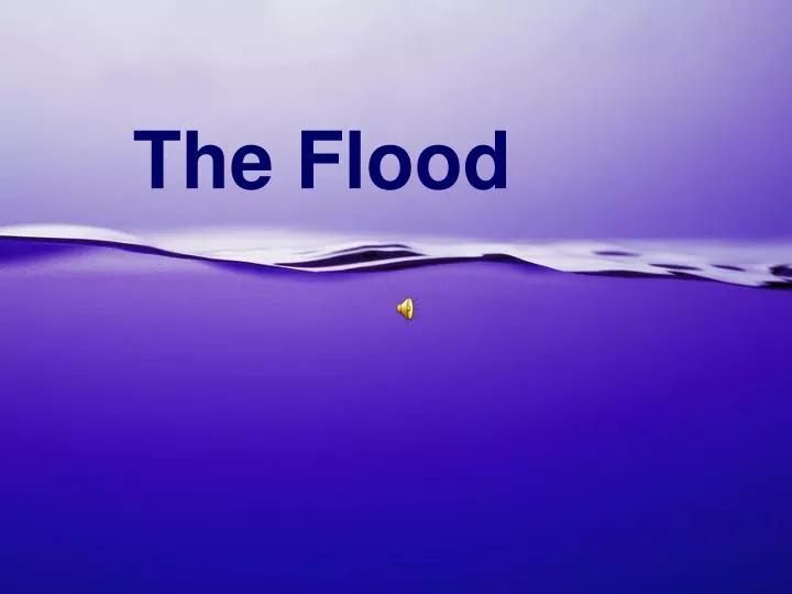 the flood n.