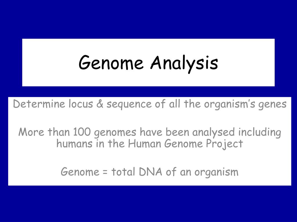 thesis on genome analysis