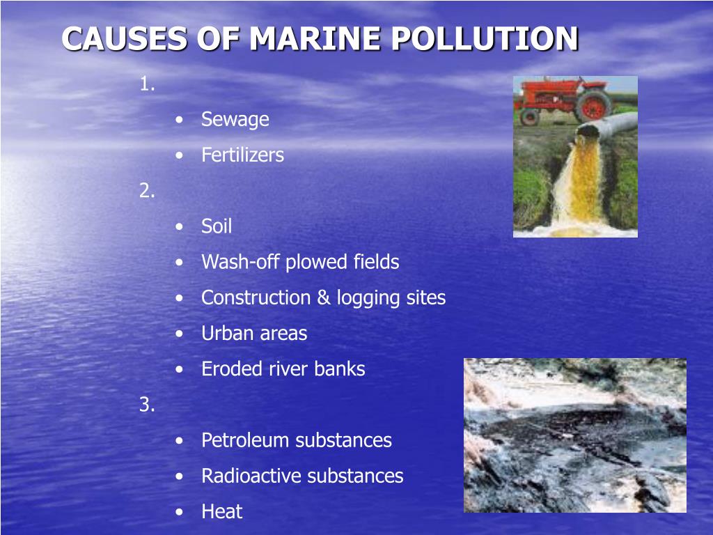 case study on marine pollution in india ppt