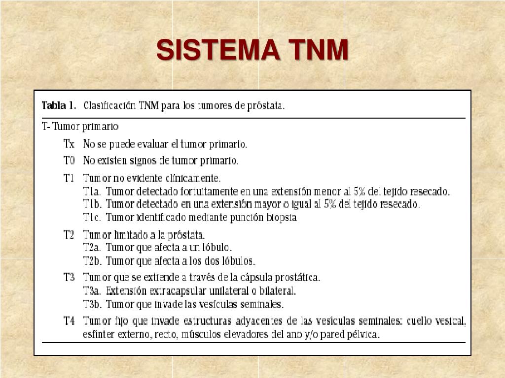 masaje de próstata romagna masaje de próstata romagna